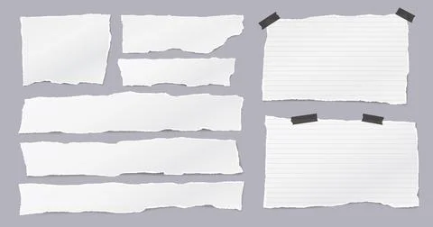 Set of torn white, lined note paper pieces are on light grey background for text Stock Illustration