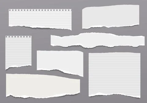 Set of torn white, lined note, notebook paper strips and pieces with soft shadow Stock Illustration