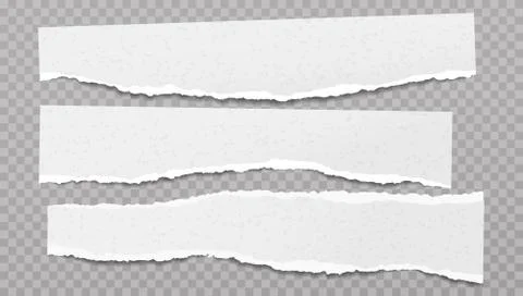 Set of torn white note, notebook paper pieces stuck on grey squared background Stock Illustration