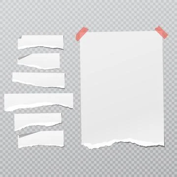 Set of torn white note, notebook paper strips and pieces with curled corners Stock Illustration