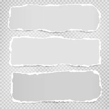 Set of torn white note, notebook paper pieces stuck on grey squared background Stock Illustration