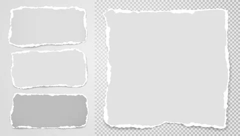 Set of torn white note, notebook paper pieces stuck on blank and grey squared Stock Illustration