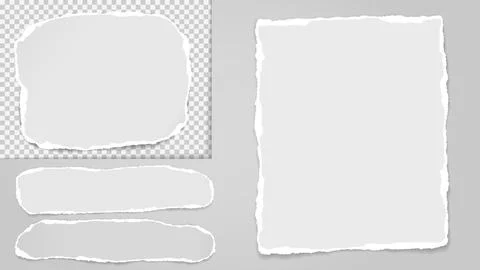 Set of torn white note, notebook paper pieces stuck on blank and grey squared Stock Illustration