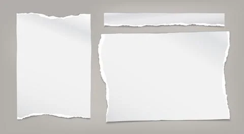 Set of torn white note, notebook paper stripes are on grey background for text Stock Illustration
