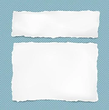 Set of torn white note, notebook paper pieces stuck on blue squared background Stock Illustration