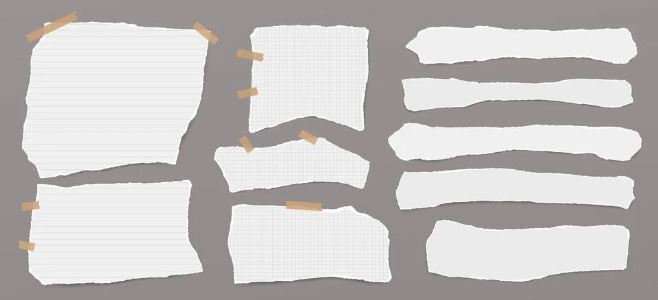 Set of torn white note paper pieces, strips are on grey background for text Stock Illustration