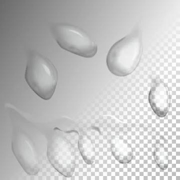 Set of transparent drops of different shapes. Vector isolate Stock Illustration