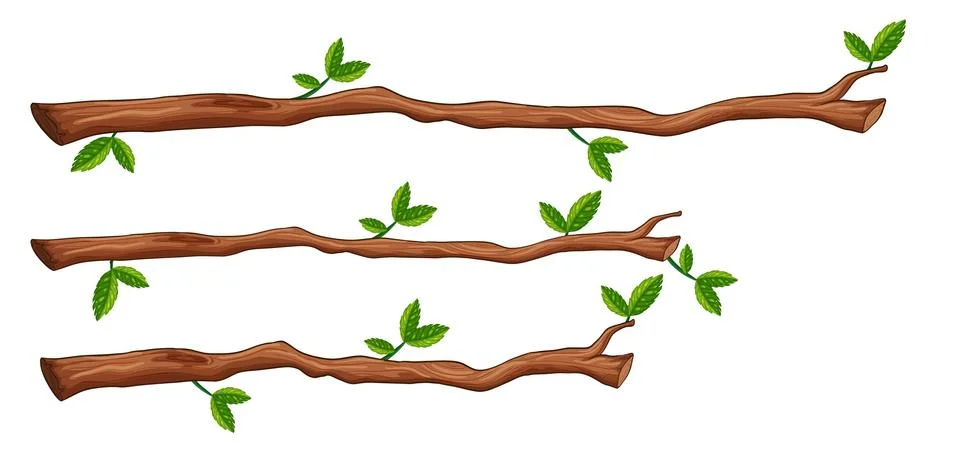 A set of tree branch Stock Illustration