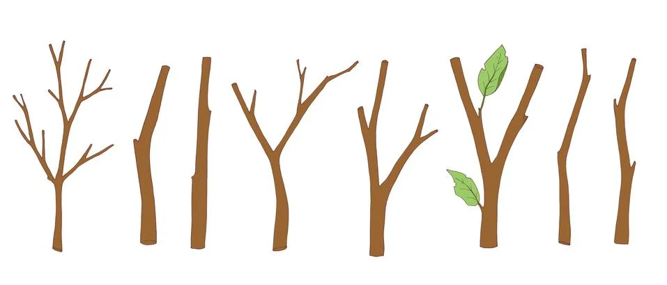Set of tree branches, bare twigs and branches with leaves. Wooden sticks. Vector Stock Illustration