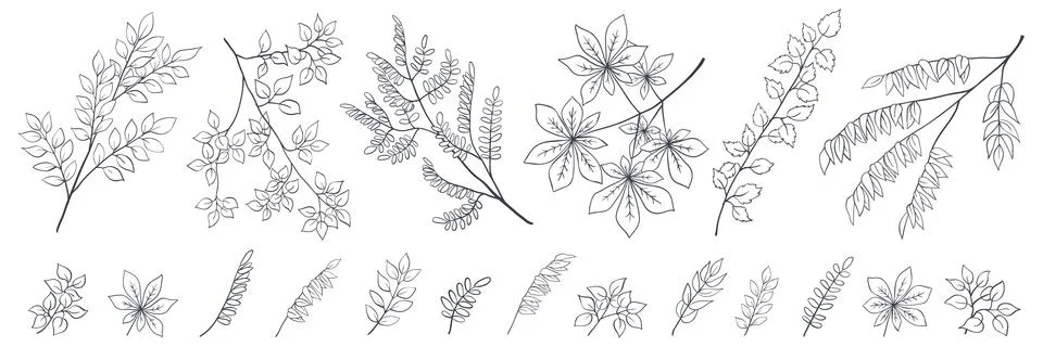 Set of tree branches black outline sketch on white Stock-Illustration