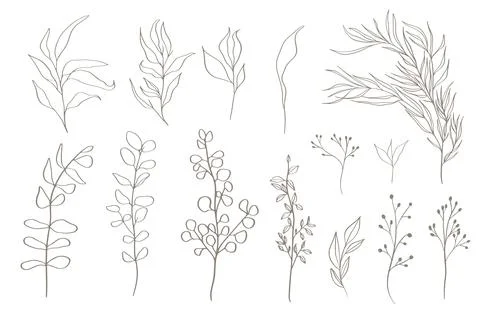 Set of tree branches, eucalyptus, leaves, herbs and flowers silhouettes. Stock Illustration
