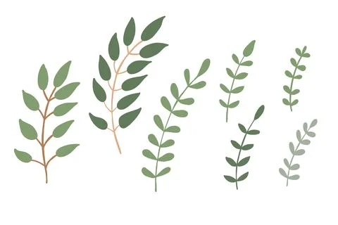 Set of tree branches with green leaves and sprigs vector Stock Illustration