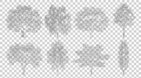 Set of tree elevation silhouettes. Architectural tree cutouts for landscape.. Illustration