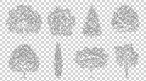 Set of tree elevation silhouettes. Isolated black tree icons for architectu.. Stock Illustration