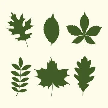 Set of tree leaves shapes Illustrazione stock