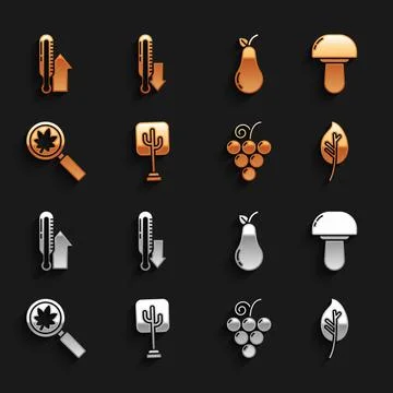 Set Tree, Mushroom, Leaf or leaves, Grape fruit, Magnifying glass with leaf Illustrazione stock