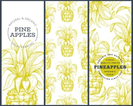 Set of tree pineapple banner templates. Hand drawn vector tropical fruit illu Stock Illustration