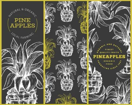 Set of tree pineapple banner templates. Hand drawn vector tropical fruit illu Stock Illustration