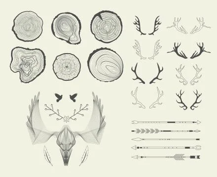 Set with tree-rings, arrows, antlers. Vector graphics. Illustrazione stock