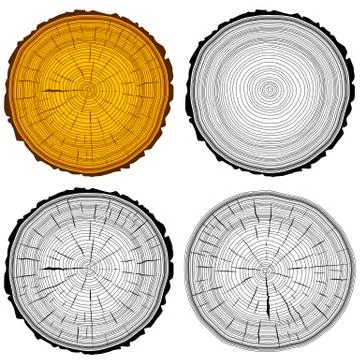 Set tree rings saw cut tree trunk background. Vector illustration. Stock Illustration