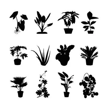 Set of tree silhouette design on a white background Stock Illustration