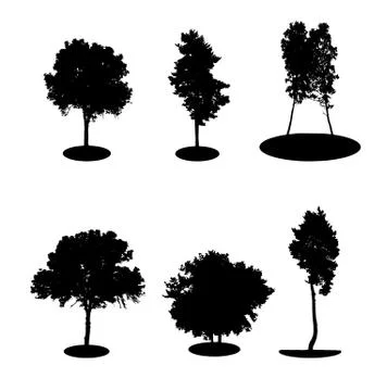 Set of Tree Silhouette Isolated on White Backgorund Stock Illustration