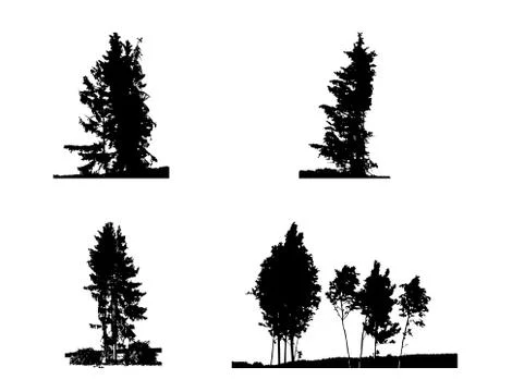 Set of Tree Silhouette Isolated on White Backgorund. Vecrtor Illustration Stock Illustration
