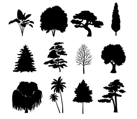 Set Tree silhouette isolated on white. Vector Collection of coniferous trees Stock Illustration