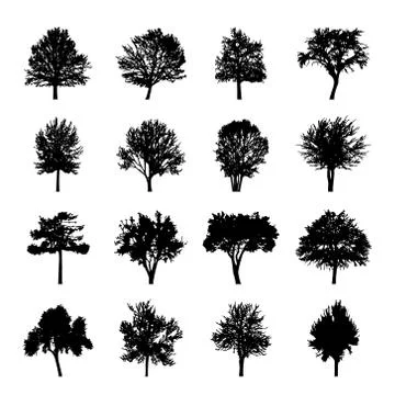 Set of Tree silhouettes black in forest Icon Vector Stock Illustration