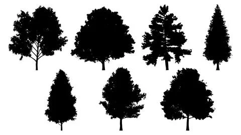 Set of tree silhouettes for the forest or park background. Cedar, oak, robinia Stock Illustration