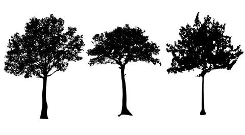 Set of tree silhouettes isolated on white background vector design Stock-Illustration
