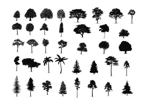 Set of tree silhouettes, vector silhouette of tree Stock Illustration