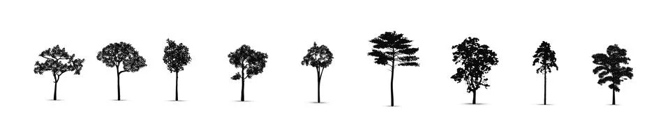 Set of tree silhouettes, vector silhouette of tree Stock Illustration