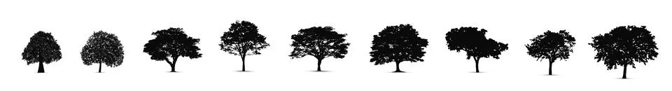 Set of tree silhouettes, vector silhouette of tree Stock Illustration