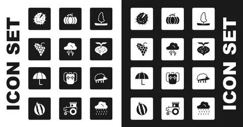 Set Tree, Storm, Grape fruit, Chestnut, Beet, Pumpkin, Hedgehog and Umbrella Illustrazione stock