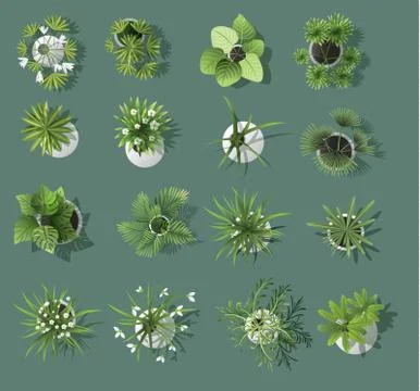 Set of tree top symbols, for architectural or landscape design, for map, vector イラスト素材