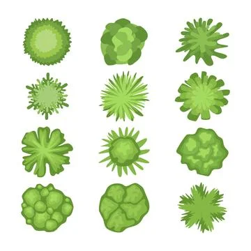 Set of Tree top view set collection, isolated on white background for lands.. Stock Illustration