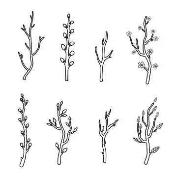 Set of tree twigs and branches. Stock Illustration