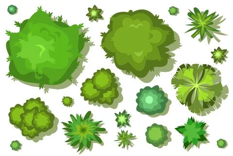 A set of trees and bushes. View from above. Height. Plant landscape. Green wi Stock Illustration