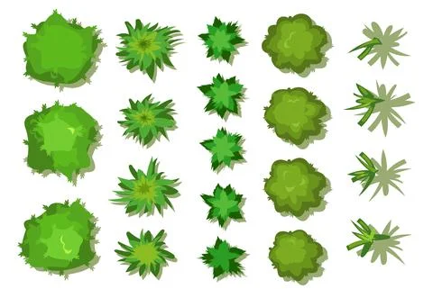 A set of trees and bushes. View from above. Height. Plant landscape. Green Stock Illustration