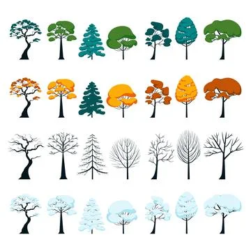 Set of trees in different seasons four seasons vector flat illustration. Mixed Stock Illustration