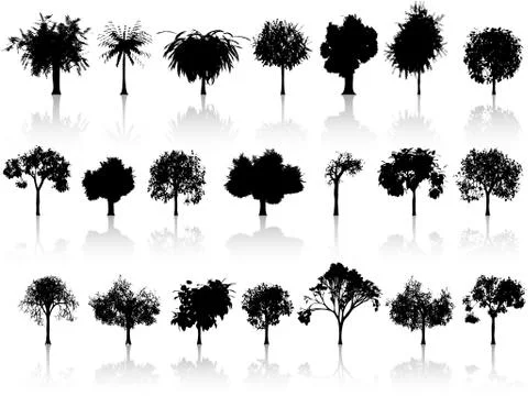 Set of trees Illustrazione stock