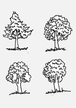 Set of trees with leaves Stock Illustration
