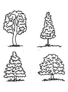 Set of trees with leaves 스톡 일러스트