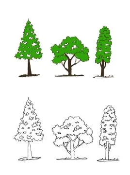 Set of trees with leaves Stock Illustration