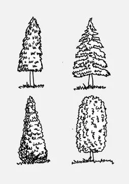 Set of trees with leaves Stock Illustration