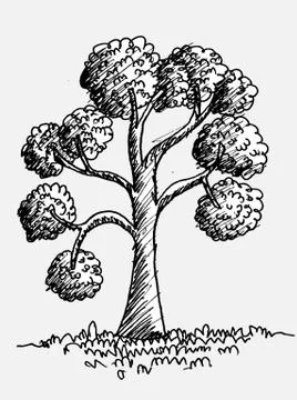Set of trees with leaves Stock Illustration
