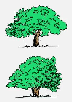 Set of trees with leaves Stock Illustration
