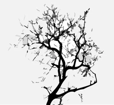 Set of trees with leaves Stock Illustration