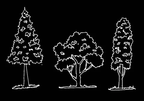 Set of trees with leaves Stock Illustration